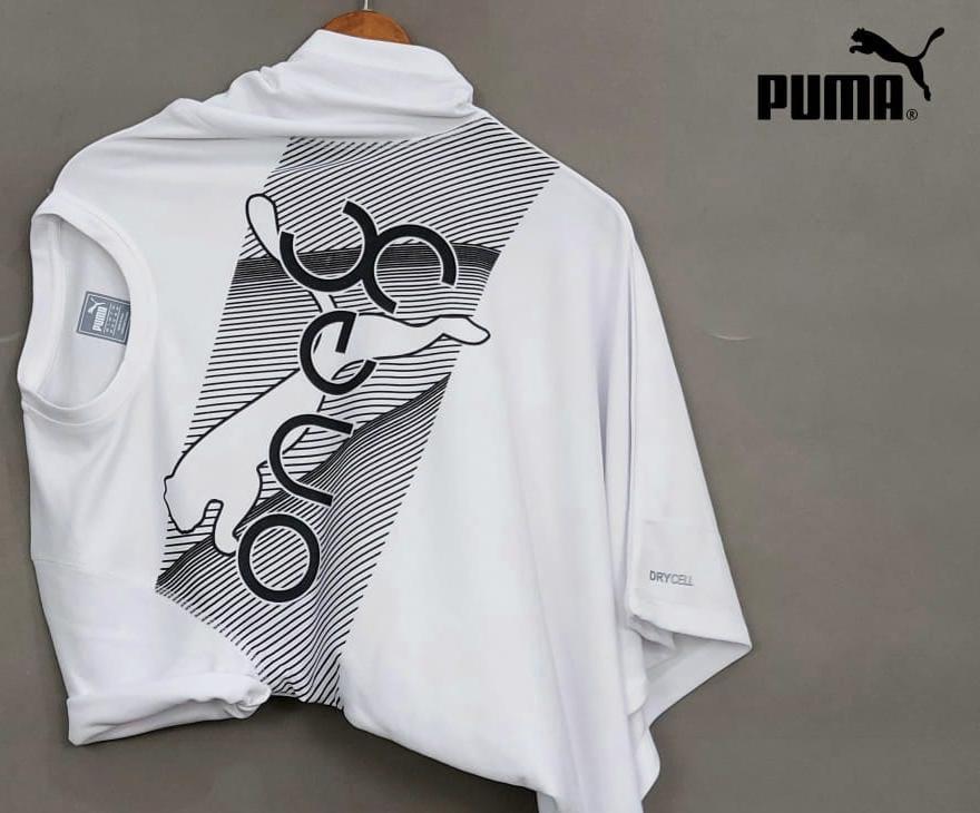 Regular Fit T-Shirt (White, L) - Trendify Store